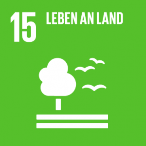 SDG15 - Leben an Land