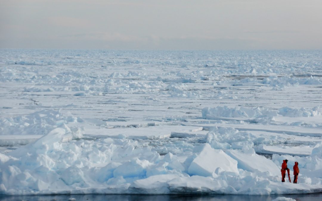 Nordpol im Sommer bald ohne Eis